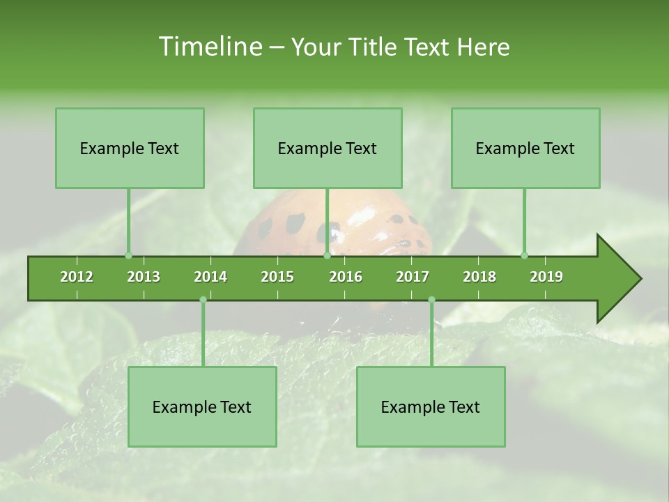 Colorado Beetle On Potato Leaf PowerPoint Template