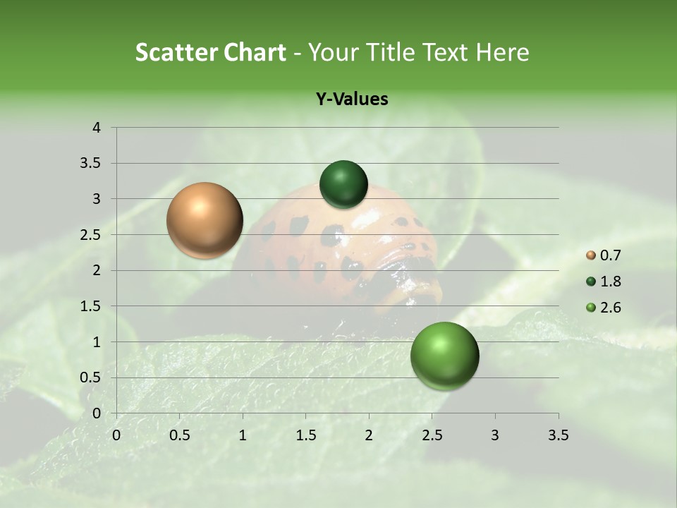 Colorado Beetle On Potato Leaf PowerPoint Template