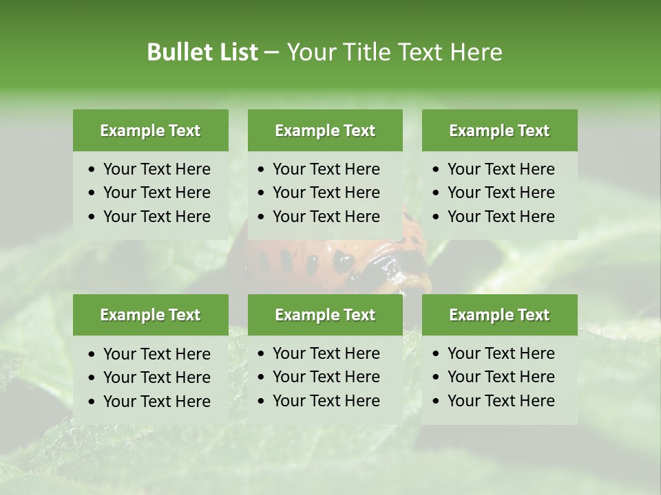 Colorado Beetle On Potato Leaf PowerPoint Template