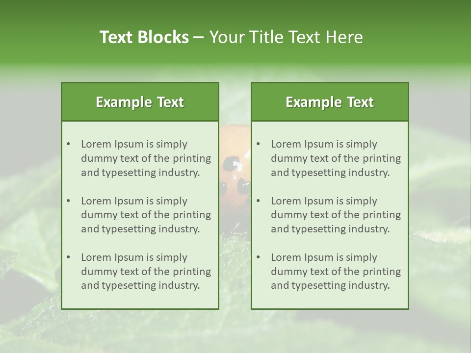 Colorado Beetle On Potato Leaf PowerPoint Template