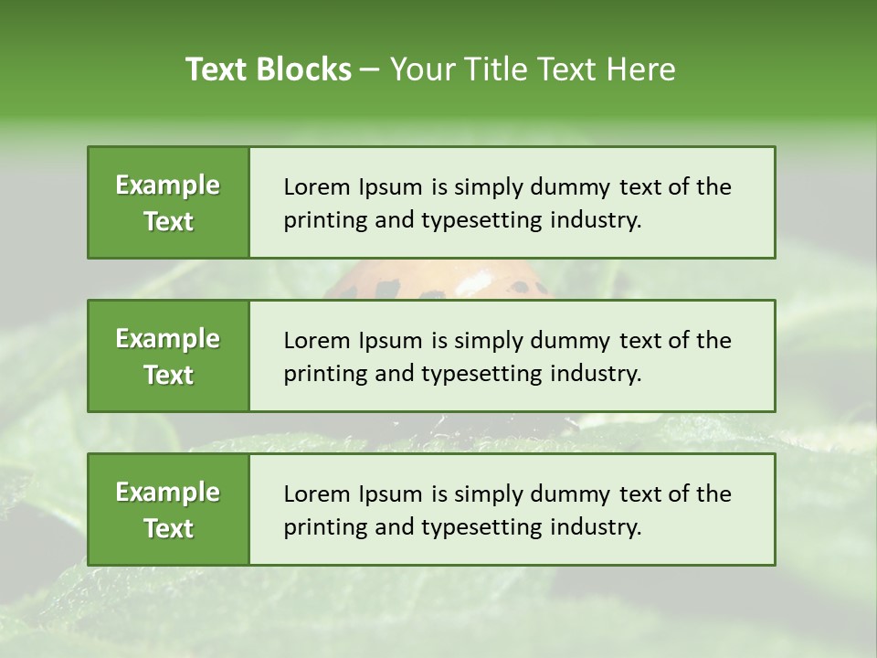 Colorado Beetle On Potato Leaf PowerPoint Template