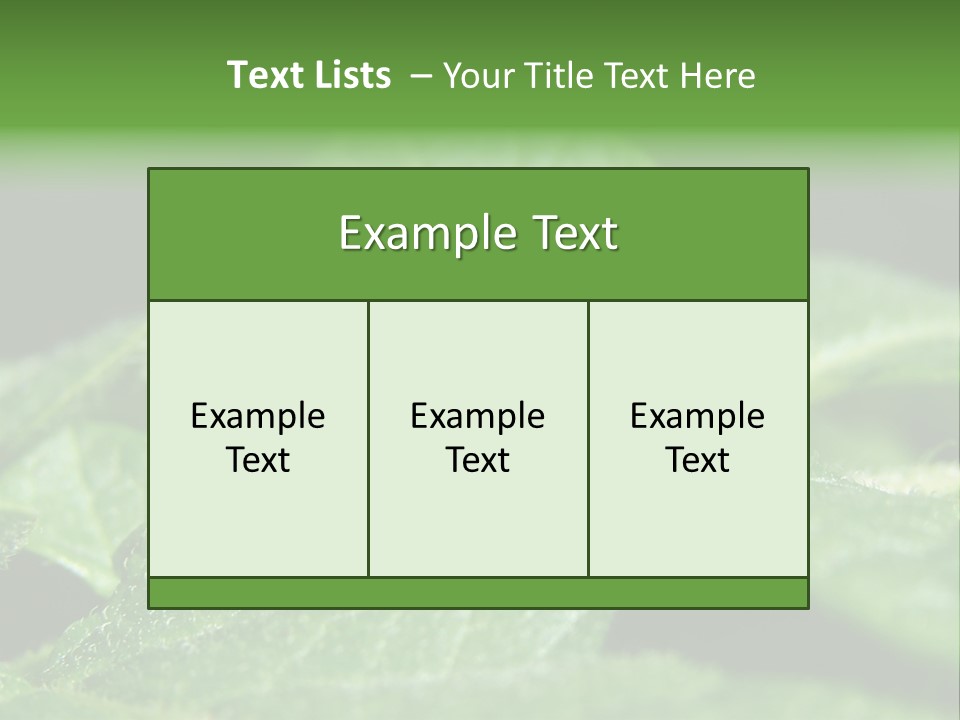 Colorado Beetle On Potato Leaf PowerPoint Template