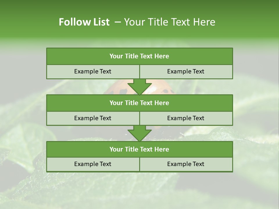 Colorado Beetle On Potato Leaf PowerPoint Template