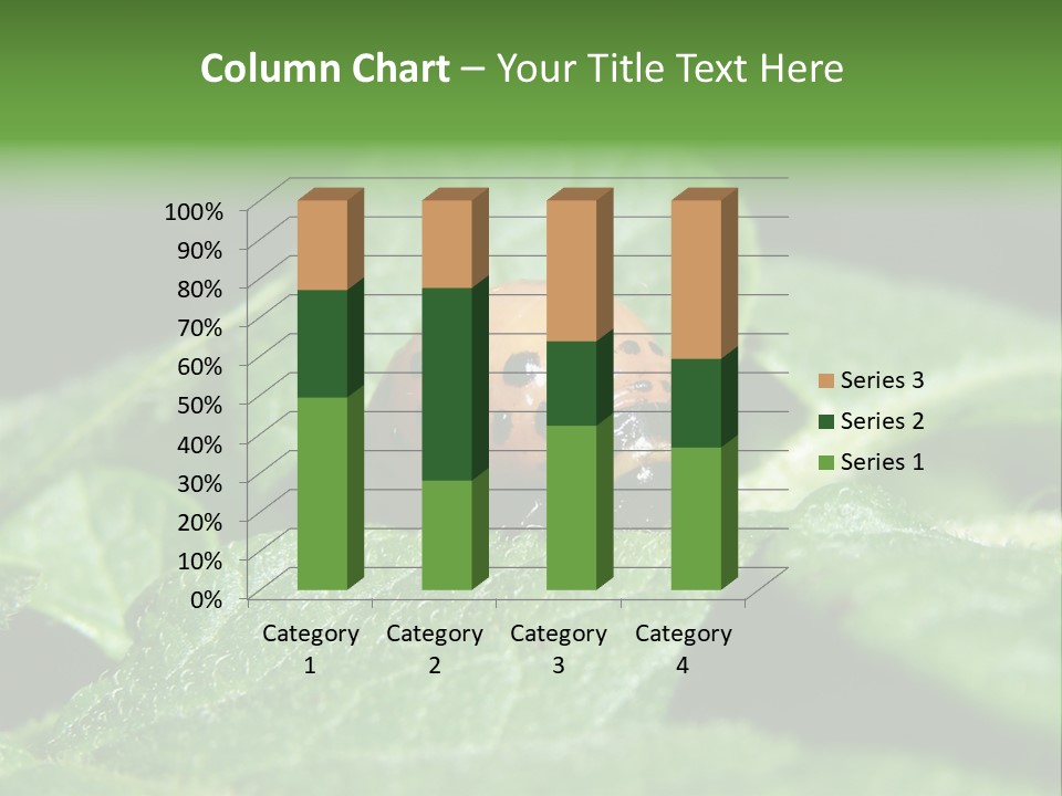 Colorado Beetle On Potato Leaf PowerPoint Template