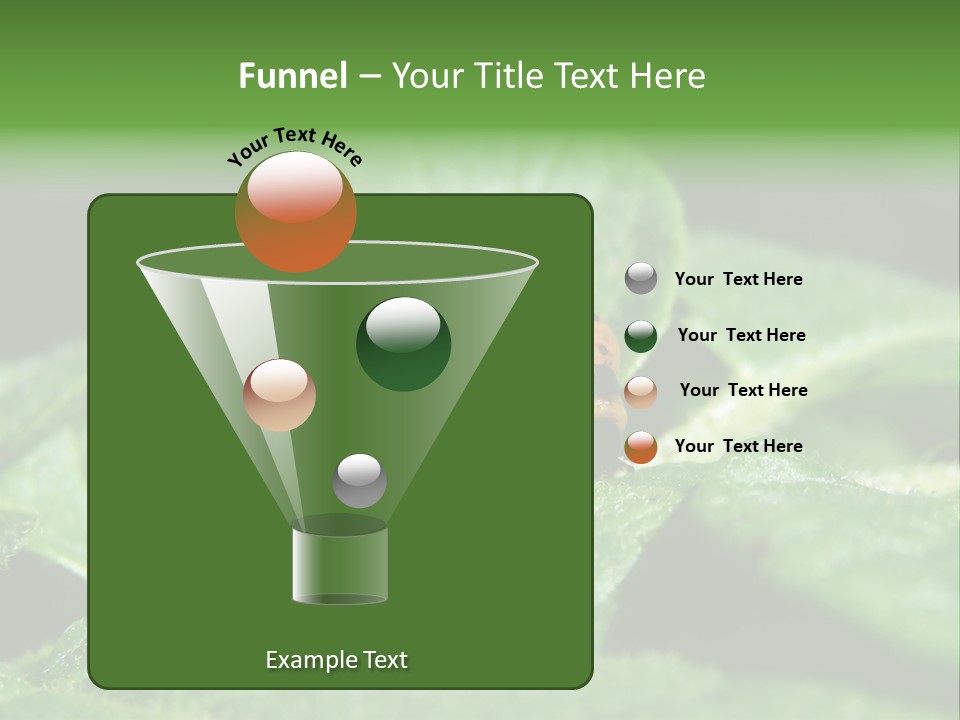 Colorado Beetle On Potato Leaf PowerPoint Template