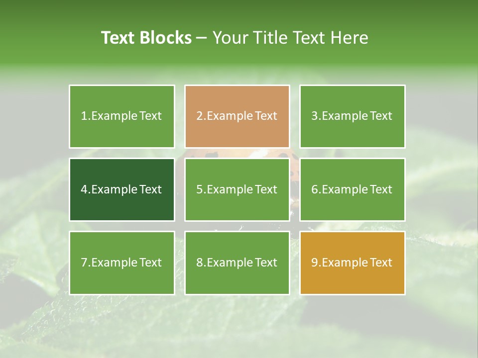 Colorado Beetle On Potato Leaf PowerPoint Template