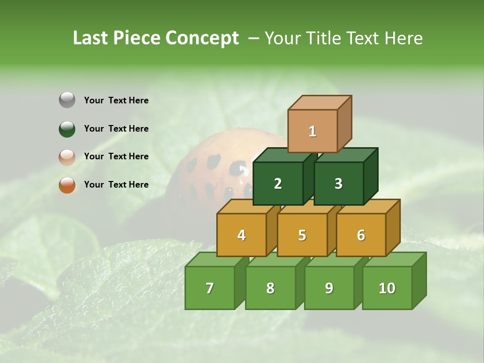 Colorado Beetle On Potato Leaf PowerPoint Template