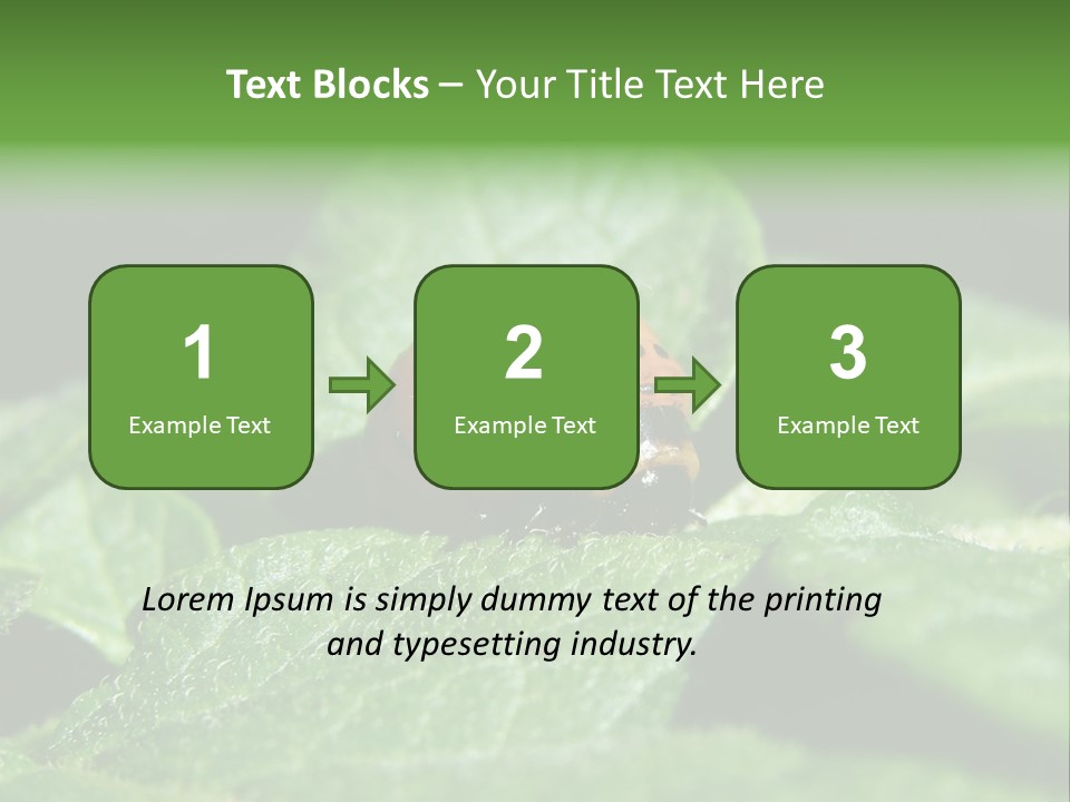 Colorado Beetle On Potato Leaf PowerPoint Template