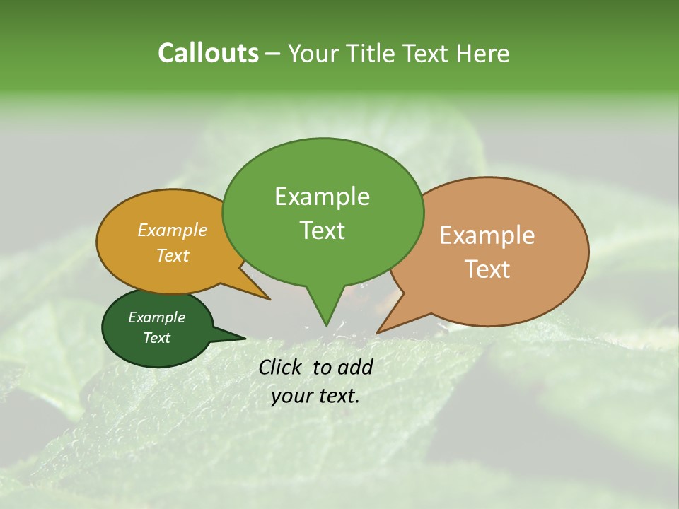 Colorado Beetle On Potato Leaf PowerPoint Template