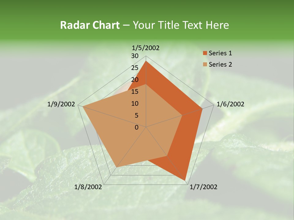 Colorado Beetle On Potato Leaf PowerPoint Template