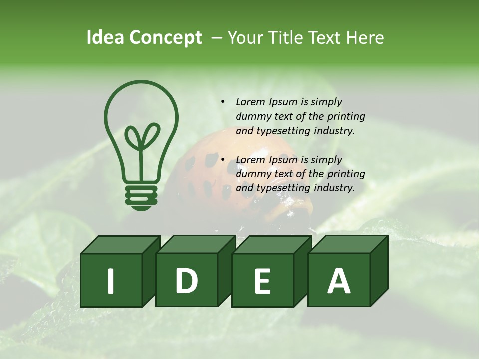 Colorado Beetle On Potato Leaf PowerPoint Template