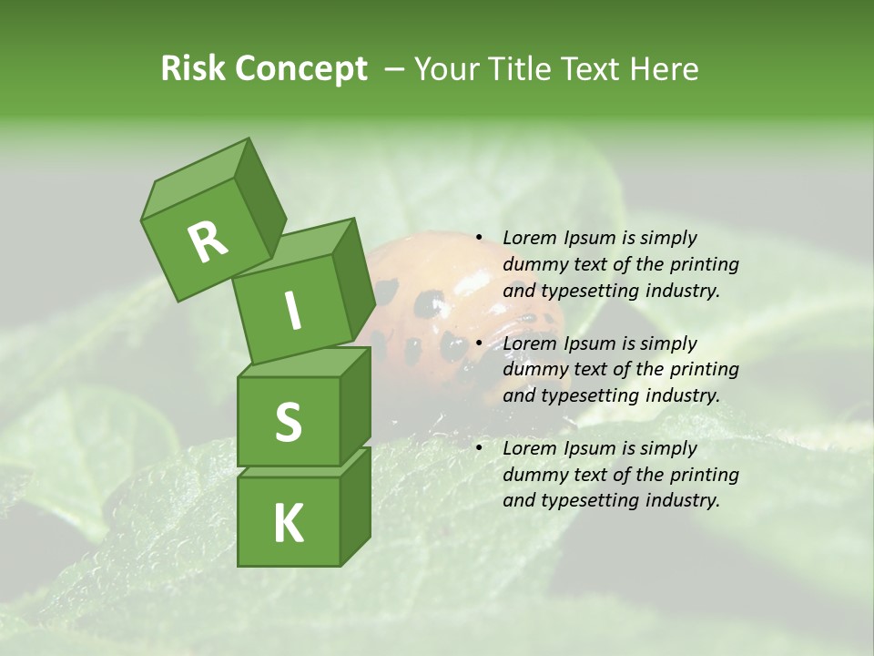 Colorado Beetle On Potato Leaf PowerPoint Template