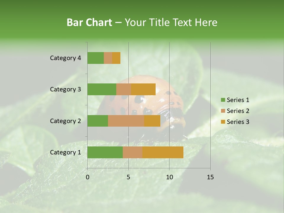 Colorado Beetle On Potato Leaf PowerPoint Template