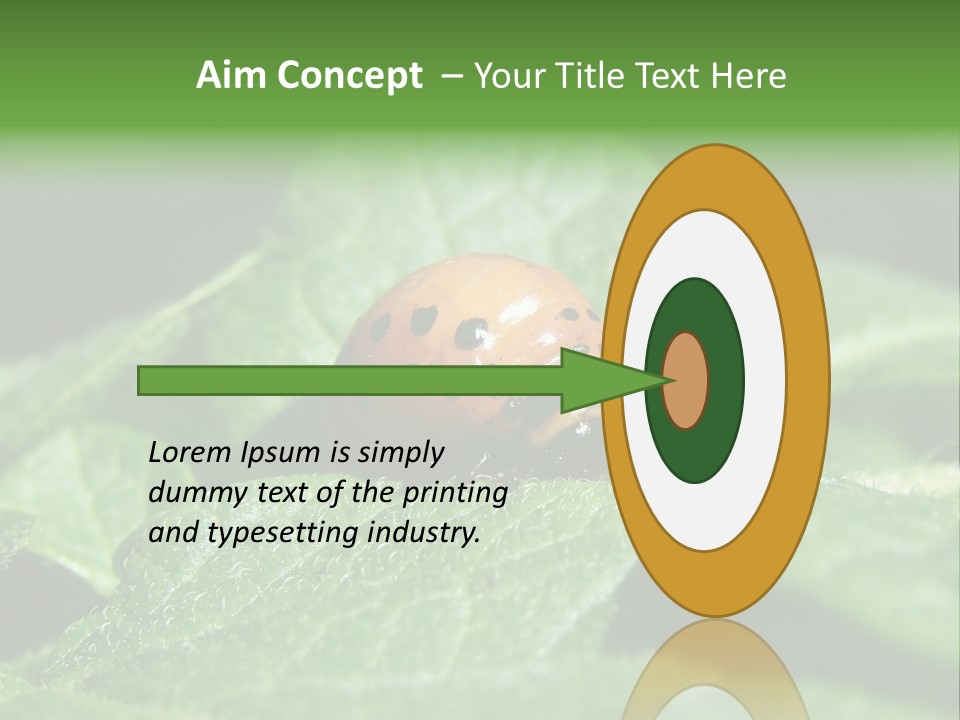 Colorado Beetle On Potato Leaf PowerPoint Template