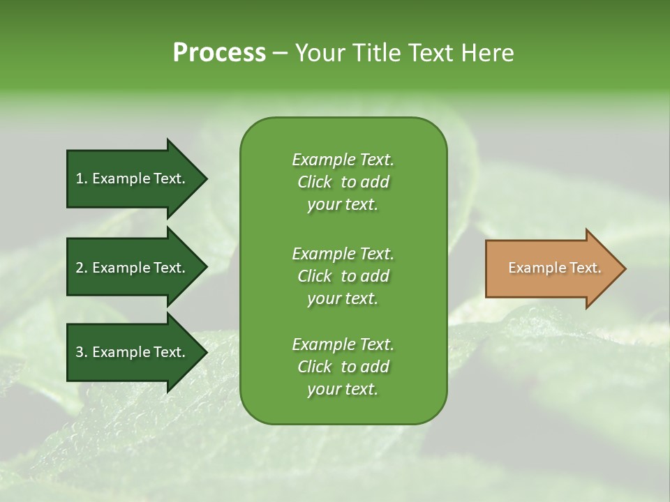 Colorado Beetle On Potato Leaf PowerPoint Template