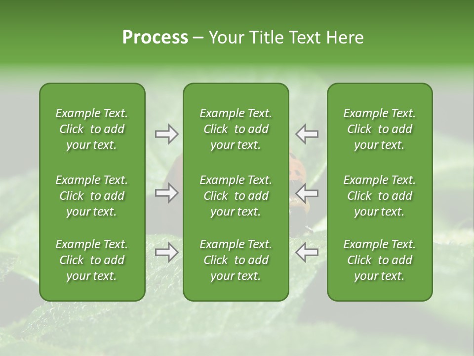 Colorado Beetle On Potato Leaf PowerPoint Template