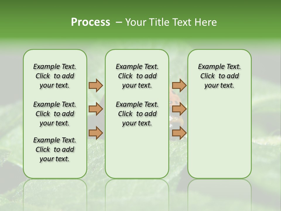 Colorado Beetle On Potato Leaf PowerPoint Template