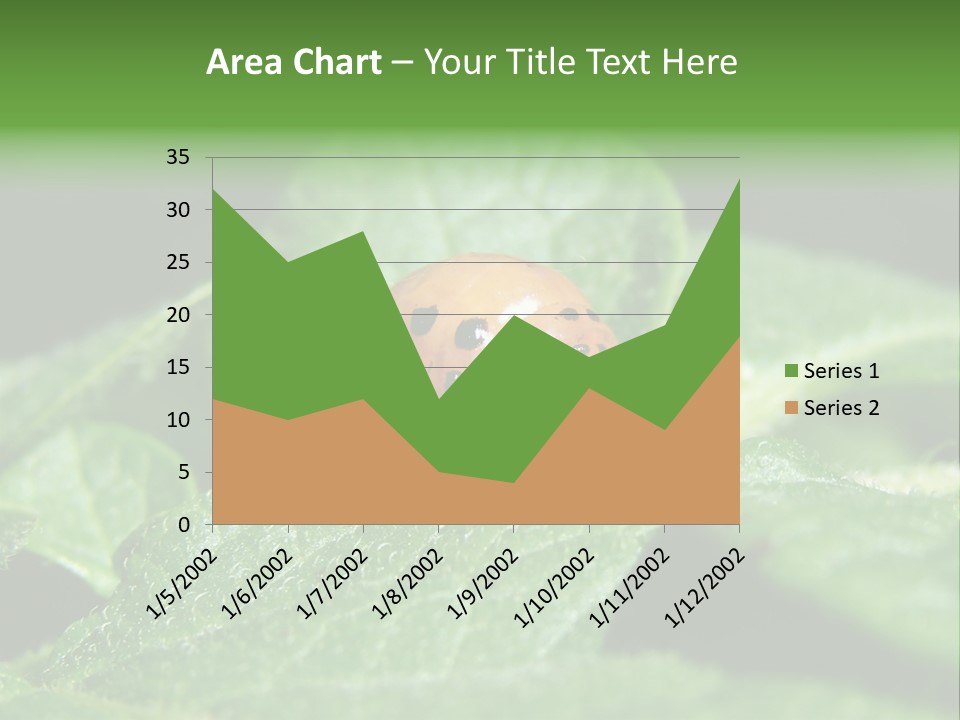 Colorado Beetle On Potato Leaf PowerPoint Template