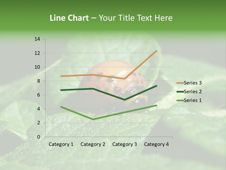 Colorado Beetle On Potato Leaf PowerPoint Template