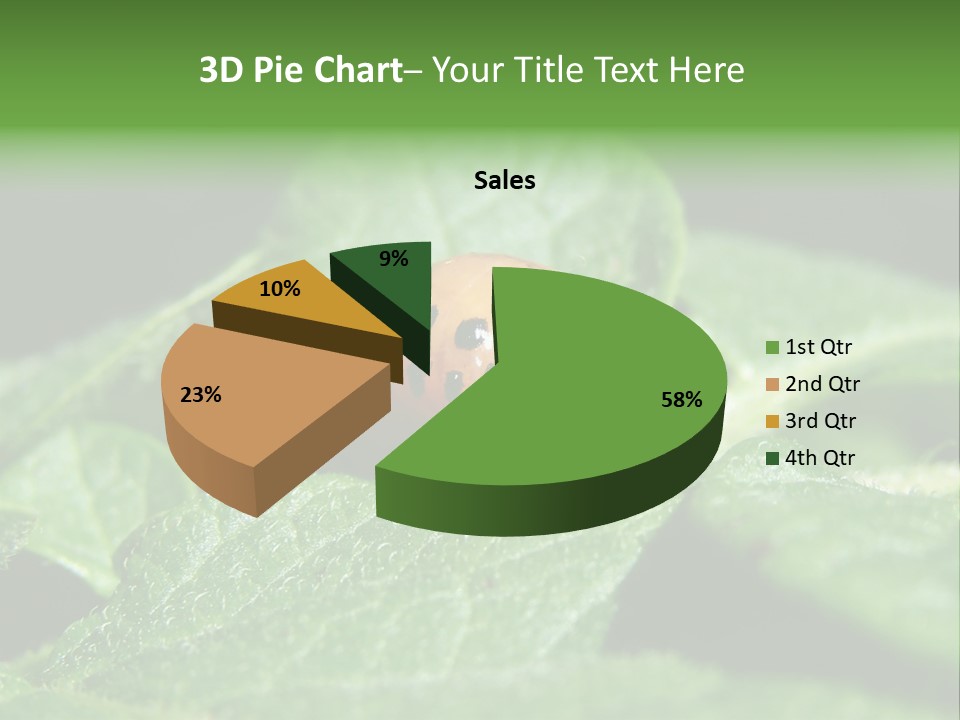 Colorado Beetle On Potato Leaf PowerPoint Template