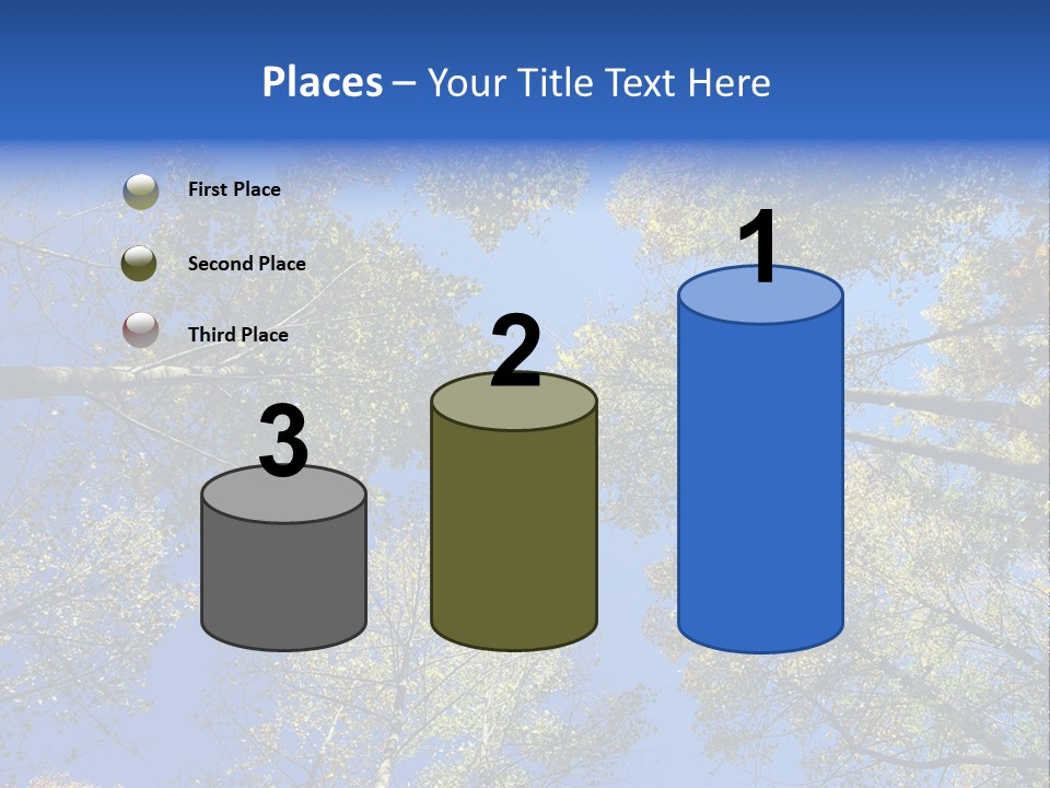 Sky's The Limit Is The Description Of This Image As The Trees Reach To The Heavens PowerPoint Template