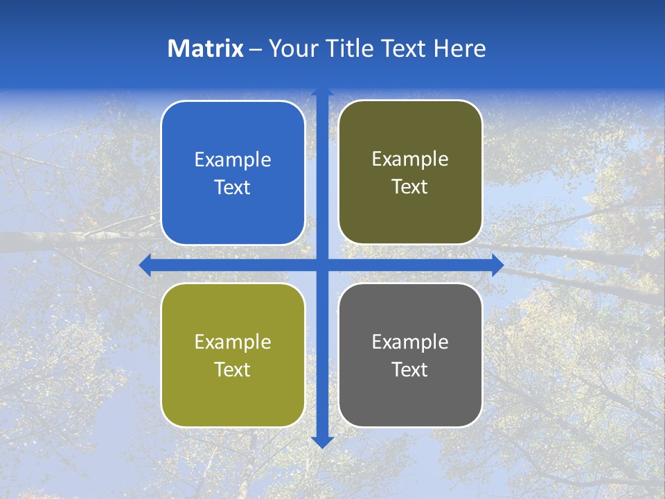 Sky's The Limit Is The Description Of This Image As The Trees Reach To The Heavens PowerPoint Template