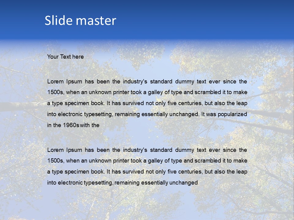 Sky's The Limit Is The Description Of This Image As The Trees Reach To The Heavens PowerPoint Template