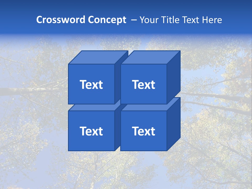 Sky's The Limit Is The Description Of This Image As The Trees Reach To The Heavens PowerPoint Template