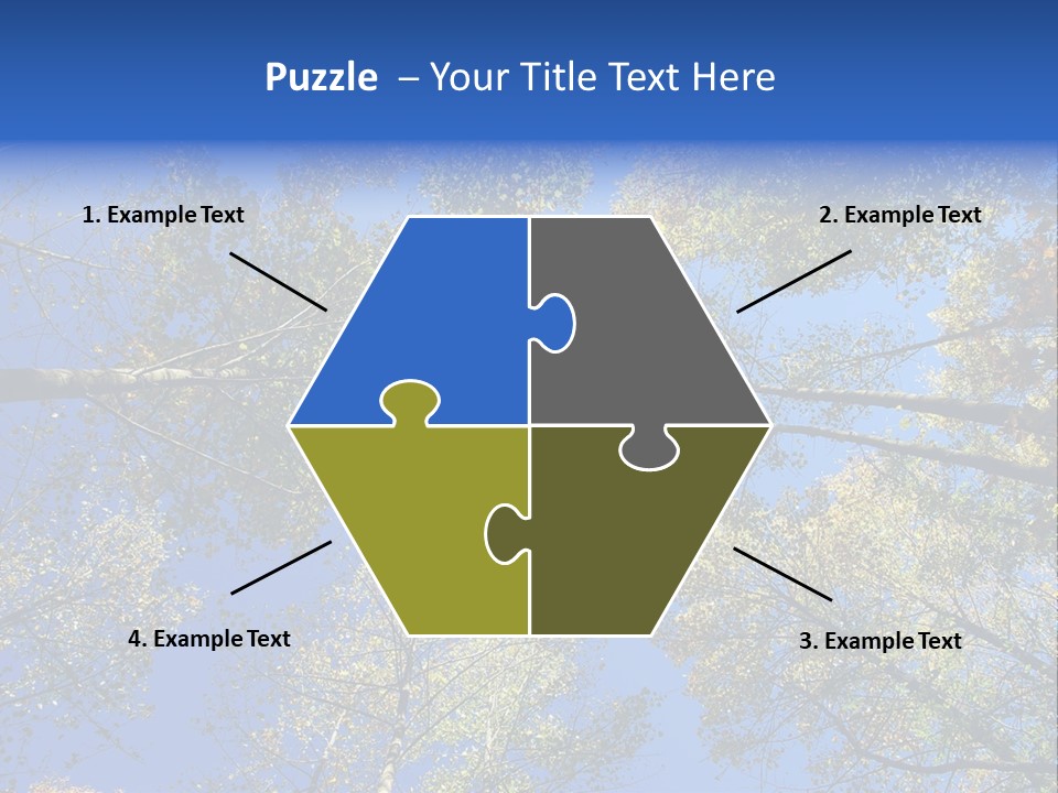 Sky's The Limit Is The Description Of This Image As The Trees Reach To The Heavens PowerPoint Template