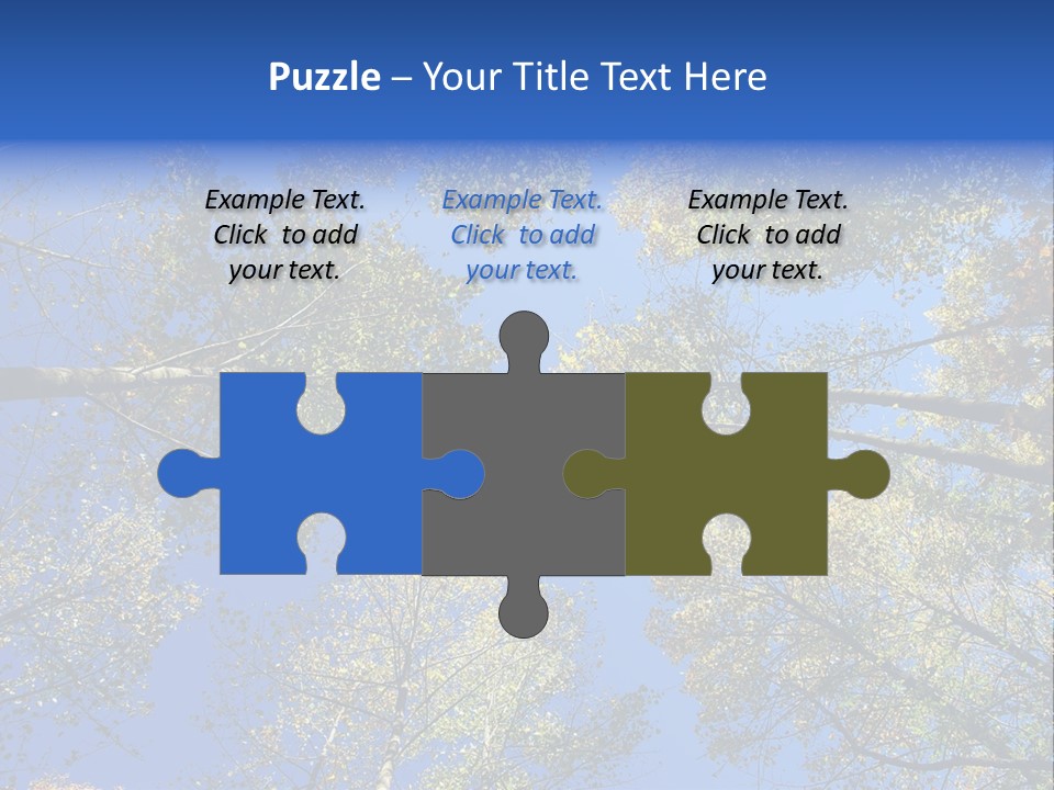 Sky's The Limit Is The Description Of This Image As The Trees Reach To The Heavens PowerPoint Template