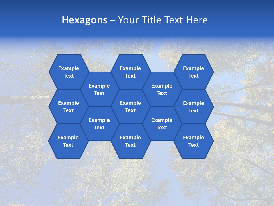 Sky's The Limit Is The Description Of This Image As The Trees Reach To The Heavens PowerPoint Template