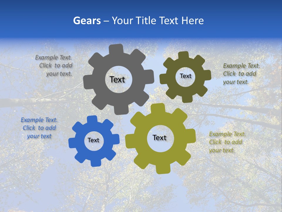 Sky's The Limit Is The Description Of This Image As The Trees Reach To The Heavens PowerPoint Template