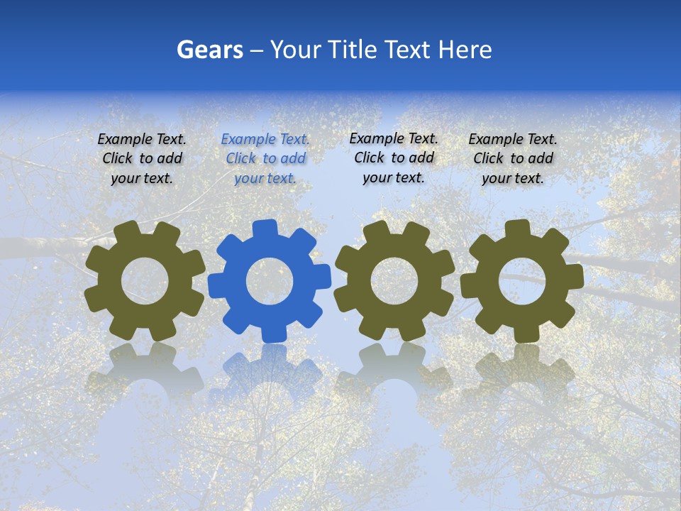 Sky's The Limit Is The Description Of This Image As The Trees Reach To The Heavens PowerPoint Template