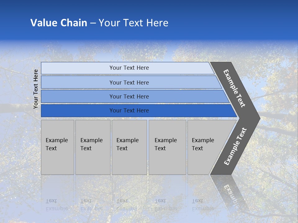 Sky's The Limit Is The Description Of This Image As The Trees Reach To The Heavens PowerPoint Template
