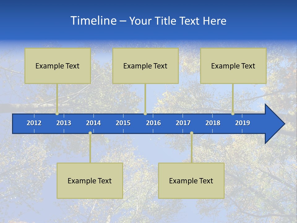 Sky's The Limit Is The Description Of This Image As The Trees Reach To The Heavens PowerPoint Template