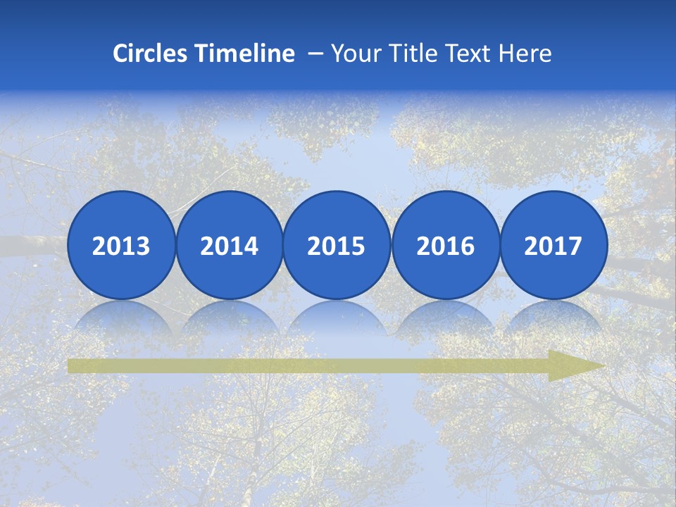 Sky's The Limit Is The Description Of This Image As The Trees Reach To The Heavens PowerPoint Template