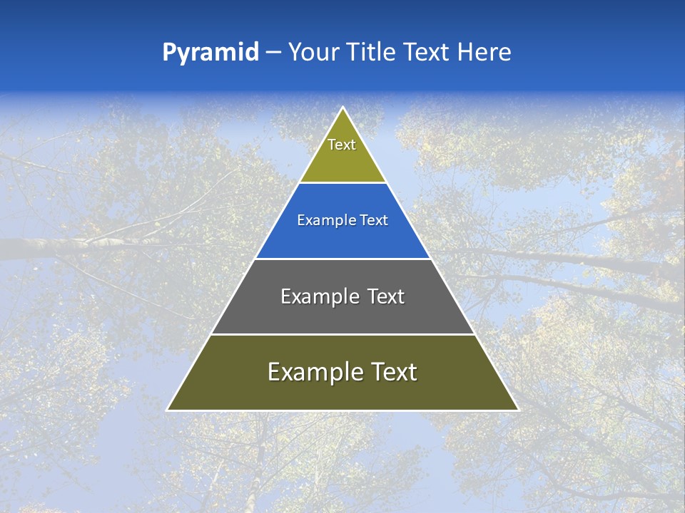 Sky's The Limit Is The Description Of This Image As The Trees Reach To The Heavens PowerPoint Template