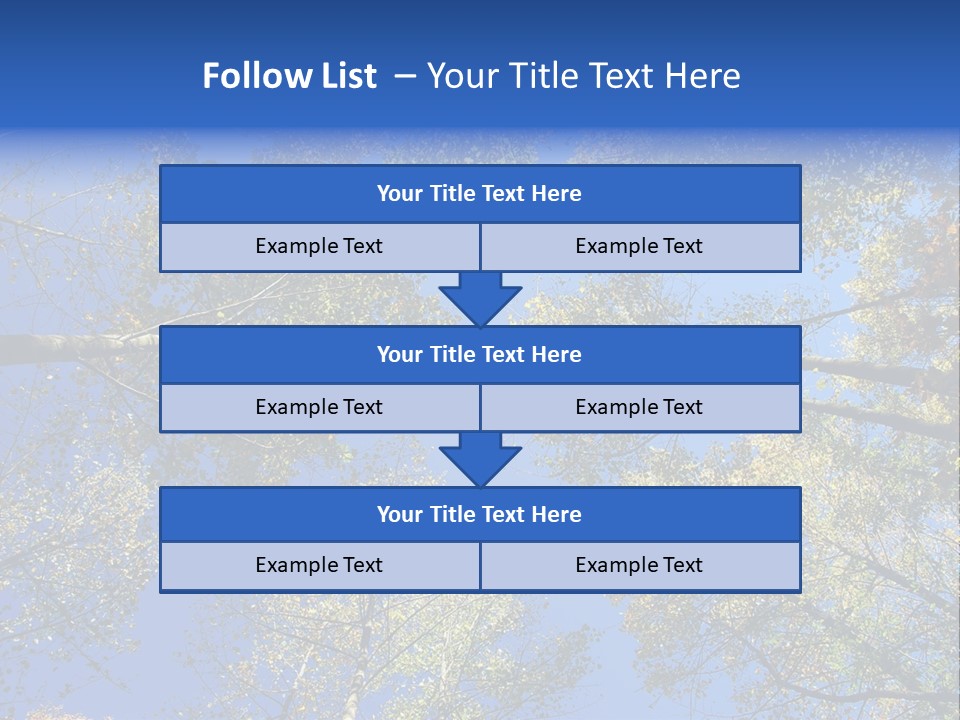 Sky's The Limit Is The Description Of This Image As The Trees Reach To The Heavens PowerPoint Template