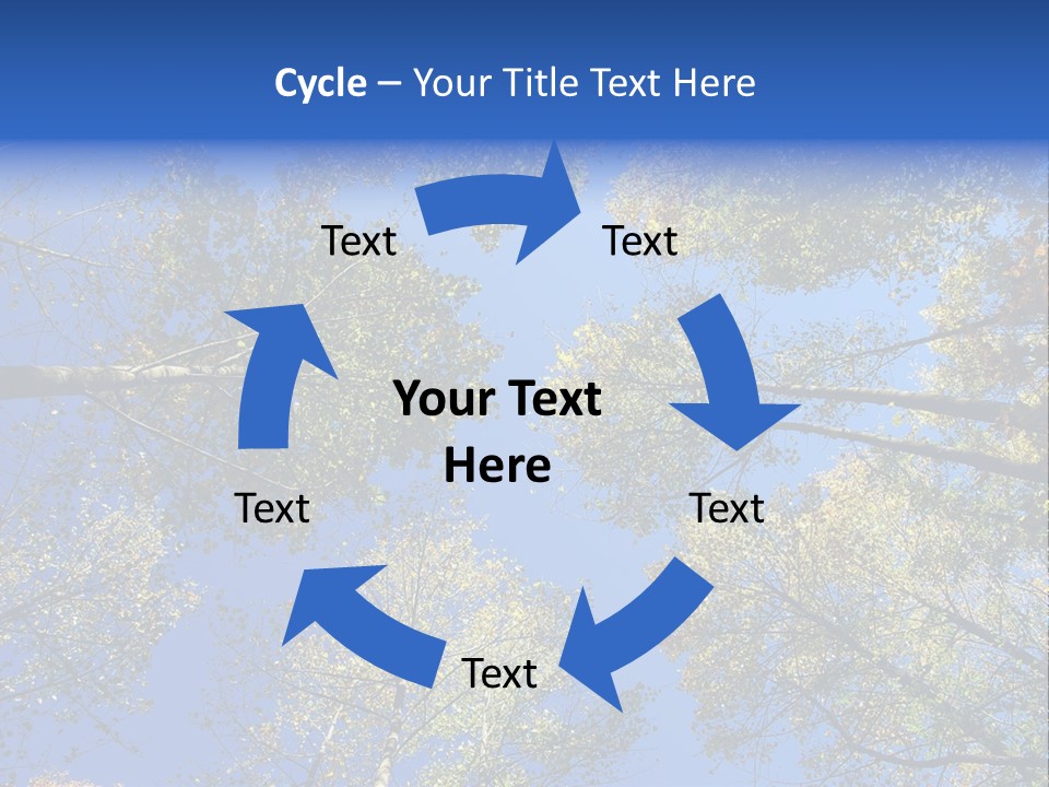 Sky's The Limit Is The Description Of This Image As The Trees Reach To The Heavens PowerPoint Template