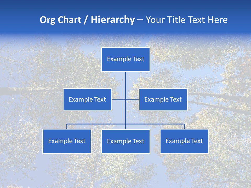 Sky's The Limit Is The Description Of This Image As The Trees Reach To The Heavens PowerPoint Template
