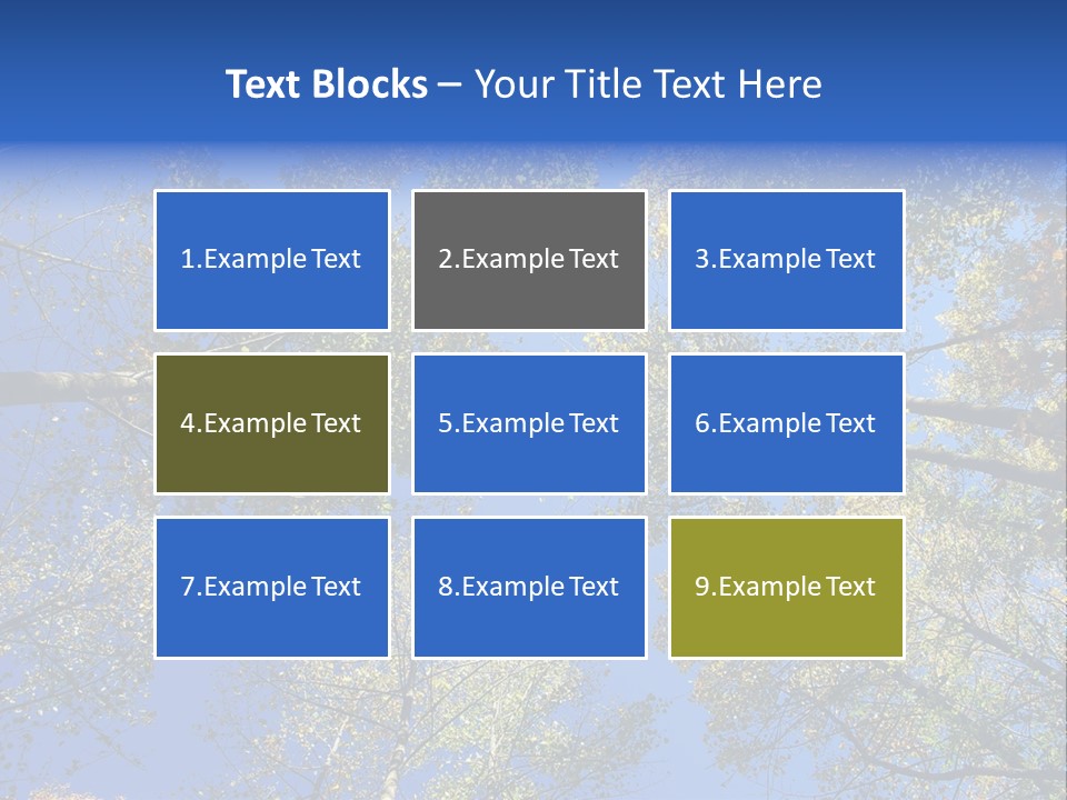 Sky's The Limit Is The Description Of This Image As The Trees Reach To The Heavens PowerPoint Template