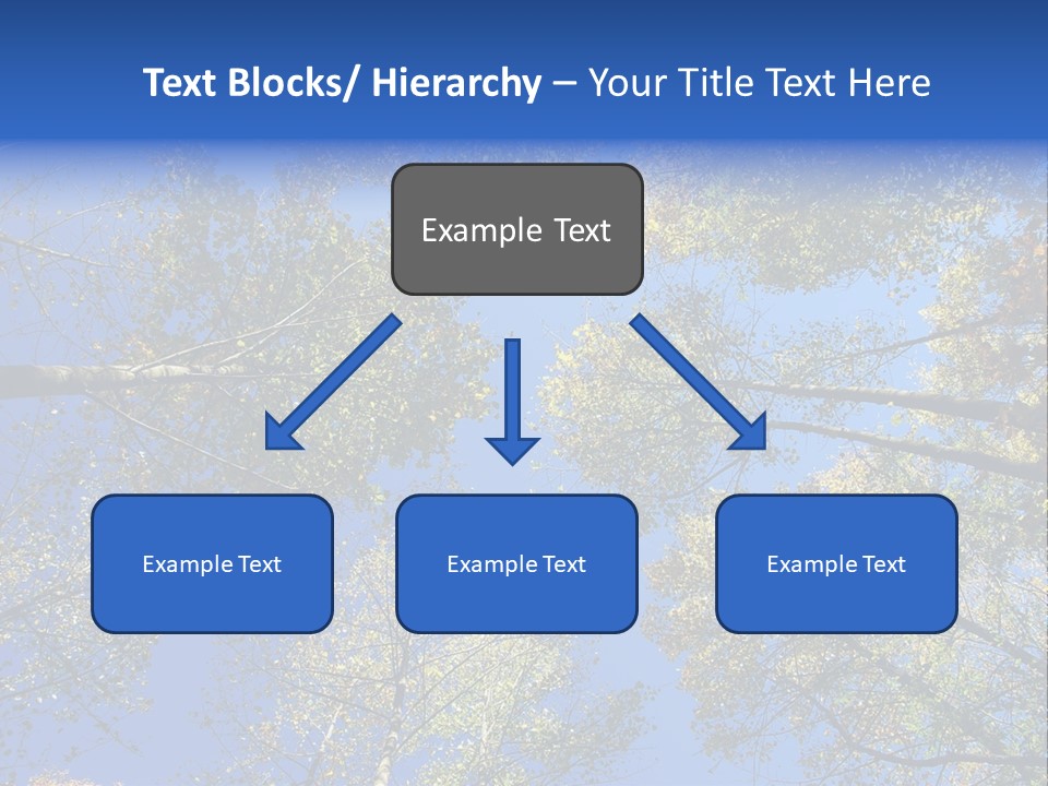 Sky's The Limit Is The Description Of This Image As The Trees Reach To The Heavens PowerPoint Template