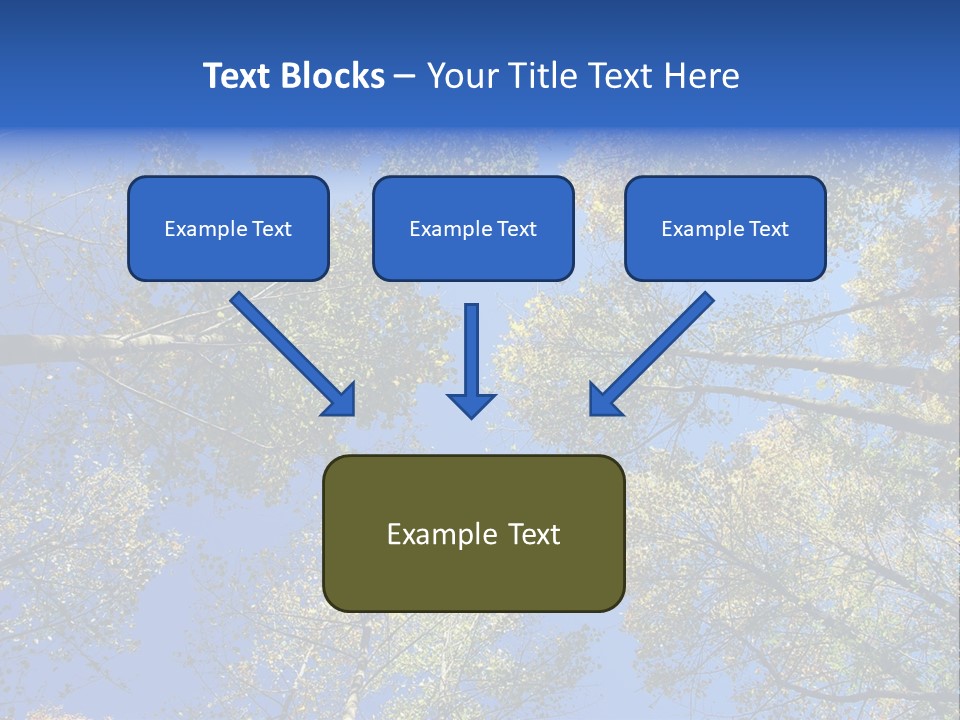 Sky's The Limit Is The Description Of This Image As The Trees Reach To The Heavens PowerPoint Template