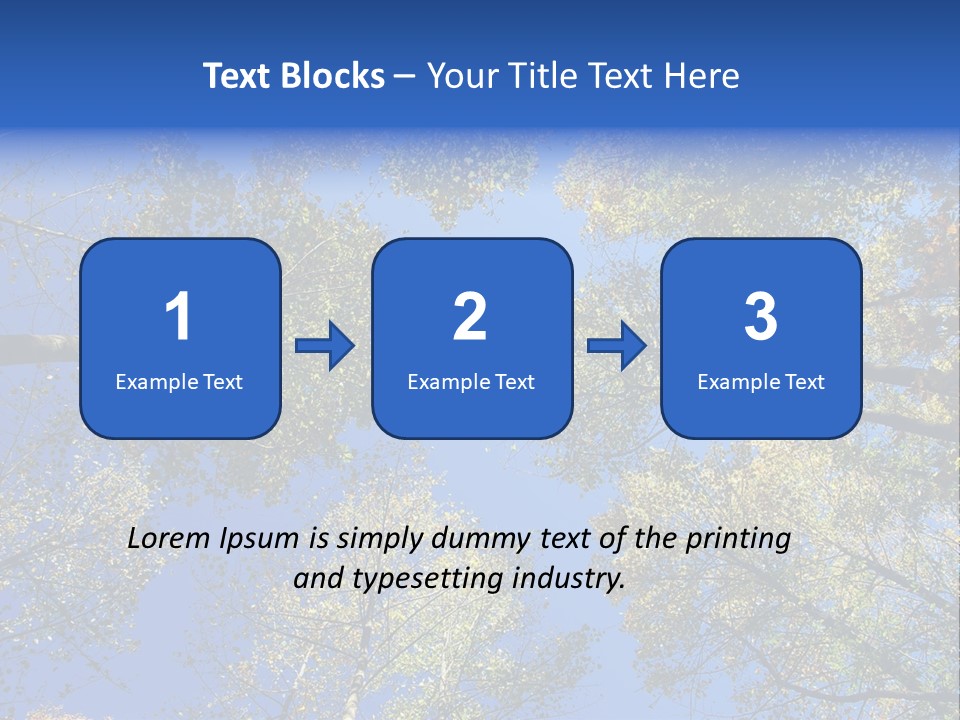 Sky's The Limit Is The Description Of This Image As The Trees Reach To The Heavens PowerPoint Template