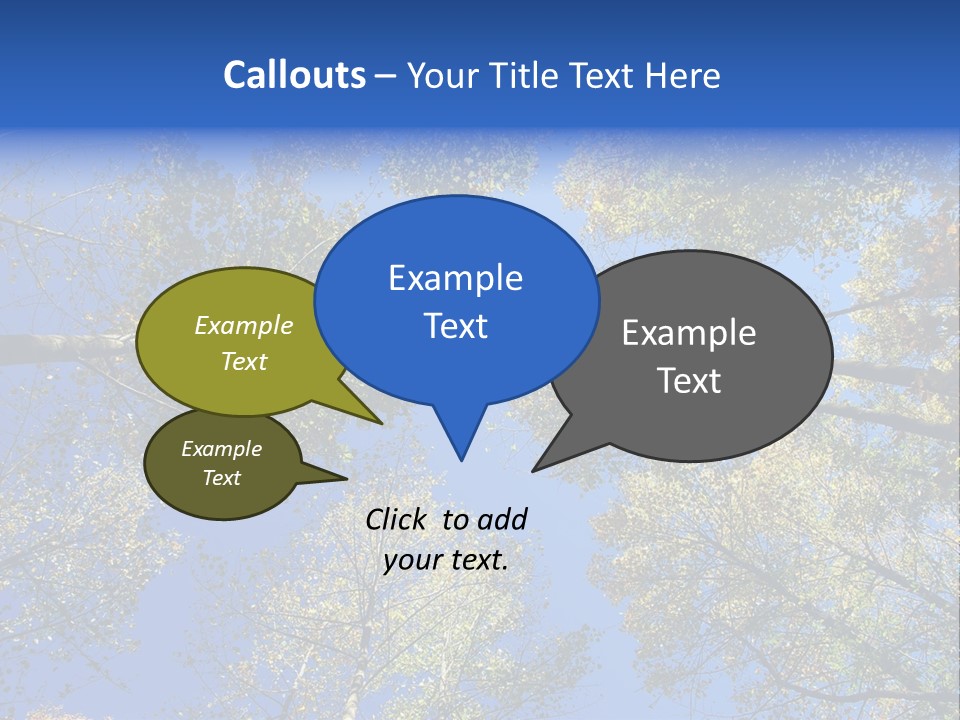 Sky's The Limit Is The Description Of This Image As The Trees Reach To The Heavens PowerPoint Template