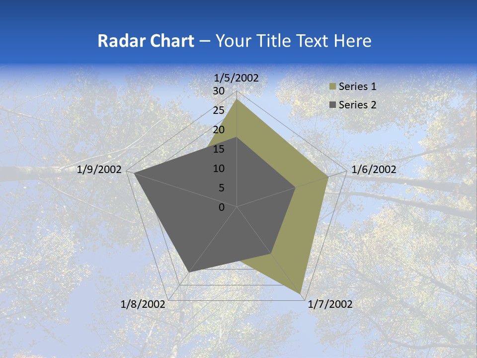 Sky's The Limit Is The Description Of This Image As The Trees Reach To The Heavens PowerPoint Template