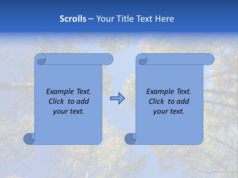 Sky's The Limit Is The Description Of This Image As The Trees Reach To The Heavens PowerPoint Template