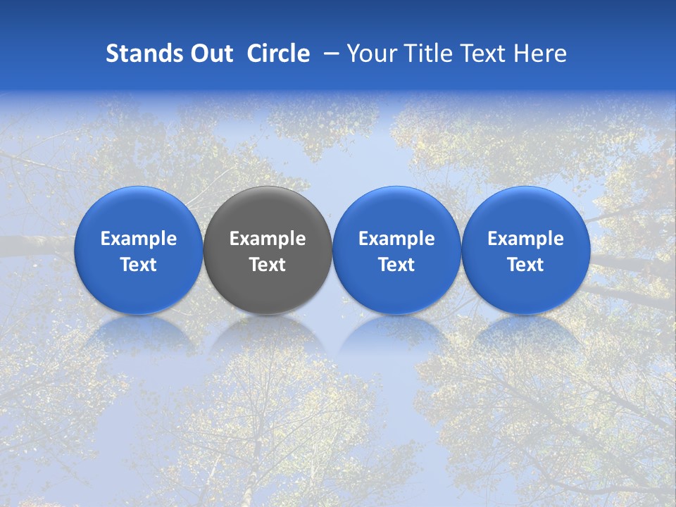 Sky's The Limit Is The Description Of This Image As The Trees Reach To The Heavens PowerPoint Template