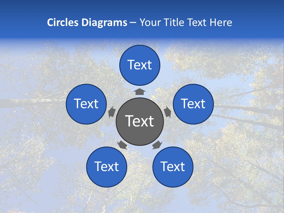 Sky's The Limit Is The Description Of This Image As The Trees Reach To The Heavens PowerPoint Template