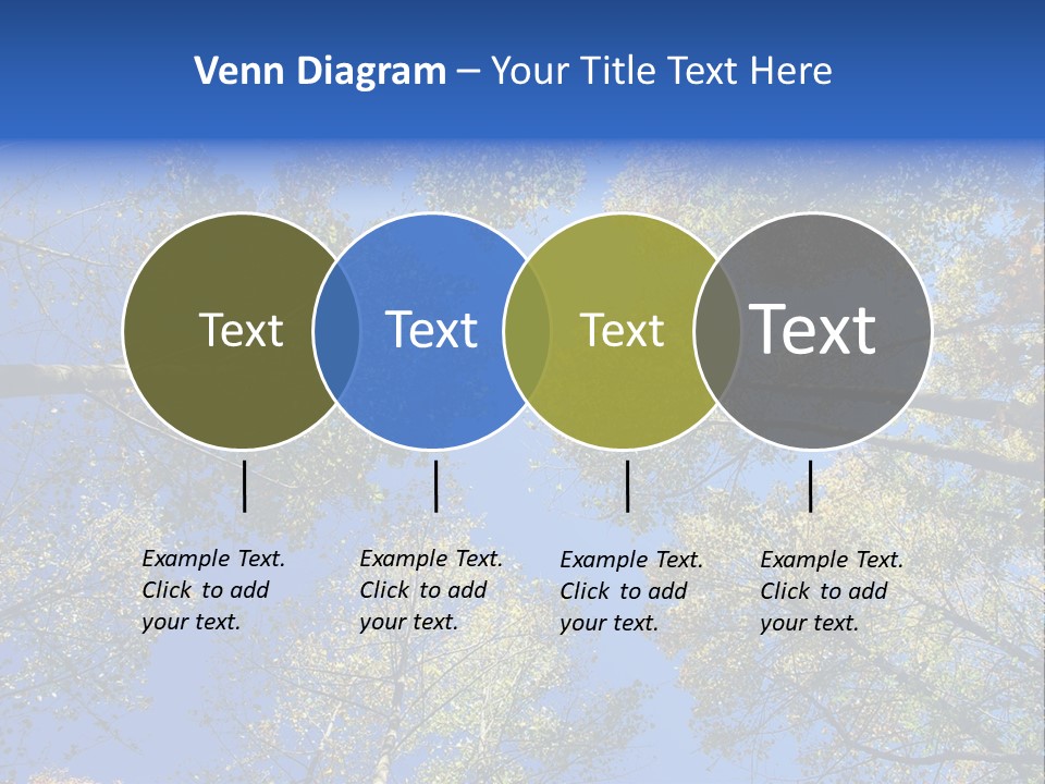 Sky's The Limit Is The Description Of This Image As The Trees Reach To The Heavens PowerPoint Template